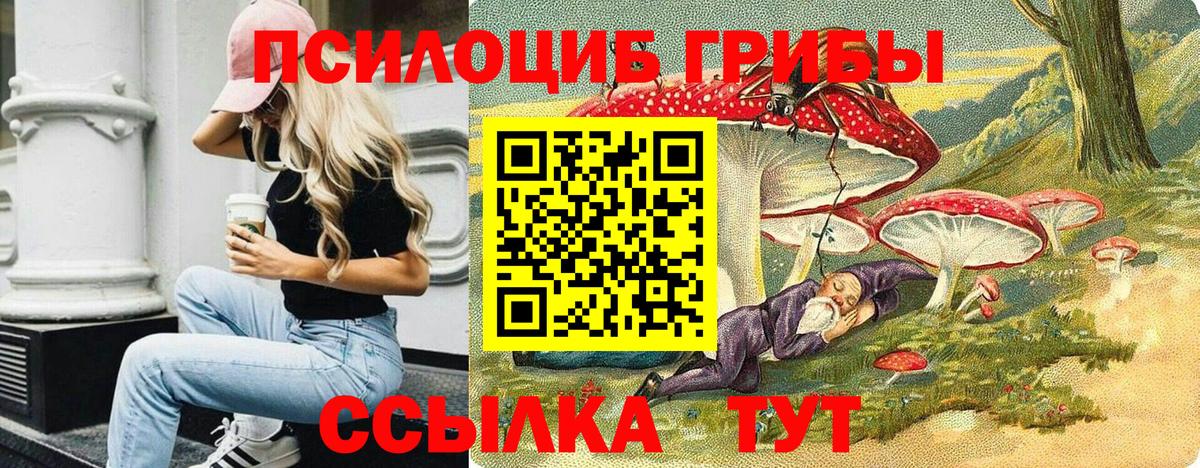Псилоцибиновые грибы Psilocybine cubensis  Галлюциногенные грибы прущие грибы  Сокол  Вход с VPN 