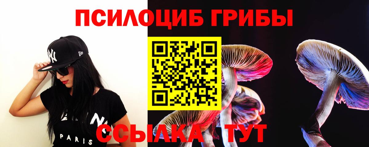 Галлюциногенные грибы мухоморы Сокол